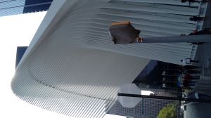 20170430_102848.jpg